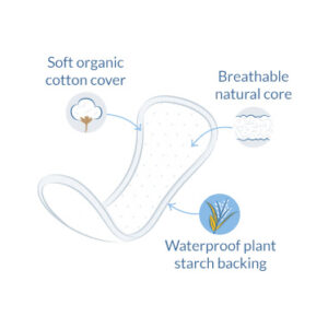 Organic cotton curved panty liners by Natracare - illustration