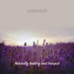a lavender field with the headline "lavender" and the words "naturally tranquil and healing" in elegant writing at the bottom of the image