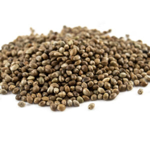 Amount of whole hemp seeds on white background