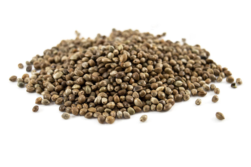 hemp-seeds Amount of whole hemp seeds on white background