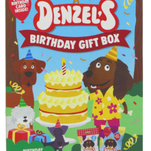 Denzel's Dog Birthday Gift Box - Colourful Image of a dog with a large birthday cake outdoors.